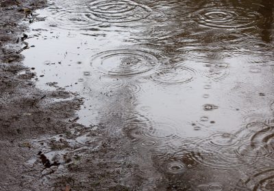 雨と神経痛